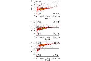 Flow Cytometry (FACS) image for anti-CAP, Adenylate Cyclase-Associated Protein 1 (CAP1) (AA 1-475) antibody (ABIN523895)