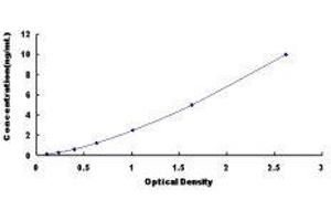 ELISA image for Slit Homolog 3 (SLIT3) ELISA Kit (ABIN433608) (SLIT3 ELISA 试剂盒)