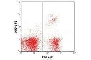 Flow Cytometry (FACS) image for anti-TCR V Beta8.1 antibody (PE) (ABIN2662873) (TCR V Beta8.1 抗体 (PE))