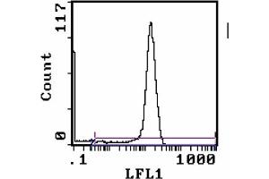 Tissue Distribution by Flow Cytometry Analysis: (CD8 抗体  (FITC))