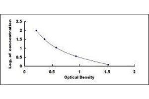 ELISA image for Luteinizing Hormone (LH) ELISA Kit (ABIN414314) (Luteinizing Hormone ELISA 试剂盒)