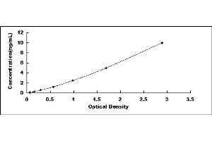 Typical standard curve (CLOCK ELISA 试剂盒)