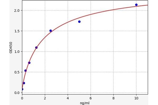 Chitotriosidase 1 ELISA 试剂盒