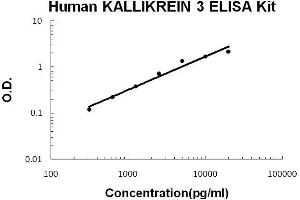 Human Kallikrein 3 PicoKine ELISA Kit standard curve (Prostate Specific Antigen ELISA 试剂盒)