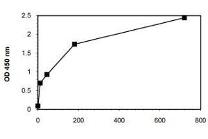 Typical standard curve (Anti-TPO IgG ELISA 试剂盒)