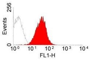 Flow Cytometry (FACS) image for anti-MHC Class I (RT1Ac) antibody (ABIN2475609) (MHC Class I (RT1Ac) 抗体)