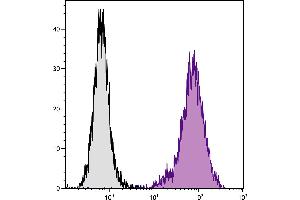 Mouse Mφ cells were stained with Rat  Anti-Mouse CD107b-APC. (LAMP2 抗体  (APC))