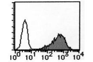 Flow Cytometry (FACS) image for anti-Transferrin Receptor (p90, CD71) (TFRC) antibody (ABIN1449271) (Transferrin Receptor 抗体)