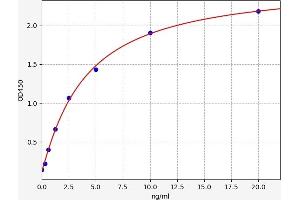 EIF3A ELISA 试剂盒