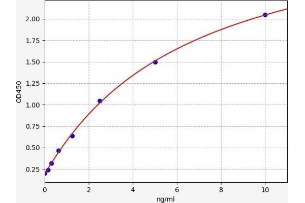 Dopamine Receptor d1 ELISA 试剂盒