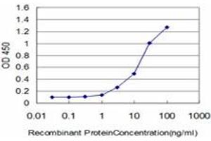 Detection limit for recombinant GST tagged FLT4 is approximately 1ng/ml as a capture antibody. (FLT4 抗体  (AA 34-133))