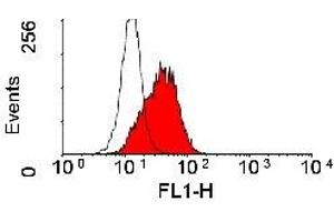 Flow Cytometry (FACS) image for anti-Activated Leukocyte Cell Adhesion Molecule (ALCAM) antibody (ABIN2478745) (CD166 抗体)