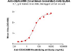 ELISA plate pre-coated by 2 μg/mL (100 μL/well) Human CEA Protein, His Tag ABIN6964142, ABIN7042563 and ABIN7042564 can bind Anti-CEA Neutralizing antibody (ABIN7477999 and ABIN7490936) in a linear range of 0. (Recombinant CEACAM6 (Tinurilimab Biosimilar) 抗体)
