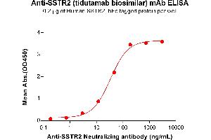 ELISA plate pre-coated by 2 μg/mL (100 μL/well) Human S Protein, hFc Tag (ABIN6964126, ABIN7042533 and ABIN7042534) can bind Anti-S Neutralizing antibody (ABIN7478019 and ABIN7490973) in a linear range of 2. (Recombinant SSTR2 (Tidutamab Biosimilar) 抗体)