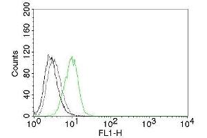Flow Cytometry of human p27 on HeLa cells. (CDKN1B 抗体  (CF®488A))