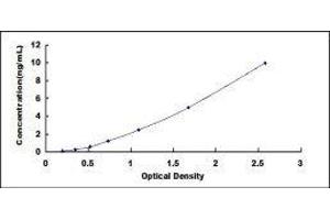 ELISA image for Pyruvate Dehydrogenase (Lipoamide) alpha 1 (PDHA1) ELISA Kit (ABIN414504) (PDHA1 ELISA 试剂盒)