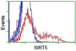 Flow Cytometry (FACS) image for anti-Sirtuin 5 (SIRT5) antibody (ABIN1500930) (SIRT5 抗体)