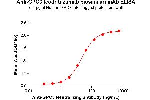 ELISA plate pre-coated by 1 μg/mL (100 μL/well) Human Protein, hFc Tag (ABIN7092674, ABIN7272488 and ABIN7272489) can bind Anti- Neutralizing antibody (ABIN7477988 and ABIN7490914) in a linear range of 1. (Recombinant GPC3 (Codrituzumab Biosimilar) 抗体)