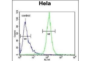 IC Antibody (Center) (ABIN653304 and ABIN2842804) flow cytometric analysis of Hela cells (right histogram) compared to a negative control cell (left histogram). (PPIC 抗体  (AA 61-89))