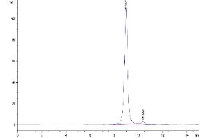 Size-exclusion chromatography-High Pressure Liquid Chromatography (SEC-HPLC) image for neonatal Fc Receptor (FcRn) (AA 24-297) protein (His tag) (ABIN7274675)