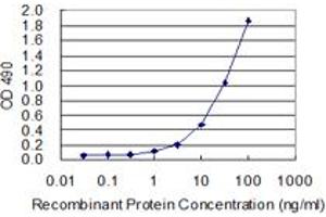 Sandwich ELISA detection sensitivity ranging from 1 ng/mL to 100 ng/mL. (GBP1 (人) Matched Antibody Pair)