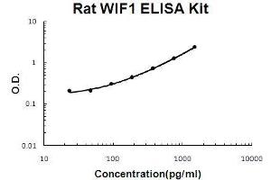 Rat WIF1 PicoKine ELISA Kit standard curve (WIF1 ELISA 试剂盒)