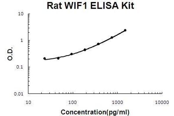 WIF1 ELISA 试剂盒