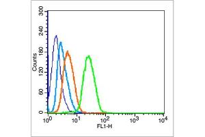 MCF7 cells were fixed with 70% ice-cold methanol overnight at 4℃, permeabilized with 90% ice-cold methanol for 20 min at -20℃, and incubated in 5% BSA blocking buffer for 30 min at room temperature. (p53 抗体  (pSer315))