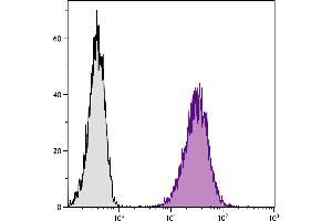 DBA/2 mouse mastocytoma cell line P815 and mB7. (CD80 抗体  (SPRD))