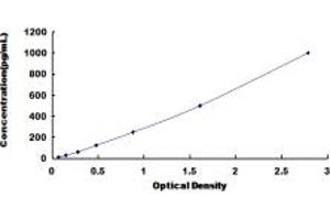 Typical standard curve (Gastrokine 2 ELISA 试剂盒)