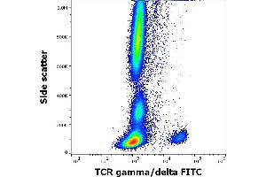 Flow cytometry surface staining pattern of human peripheral whole blood stained using anti-human TCR gamma/delta (11F2) FITC antibody (4 μL reagent / 100 μL of peripheral whole blood). (TCR gamma/delta 抗体  (FITC))