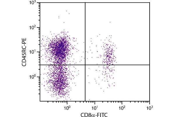 CD45RC 抗体  (PE)