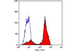 Staining of human peripheral blood lymphocytes with MOUSE ANTI HUMAN CD2 (ABIN119502). (CD2 抗体)