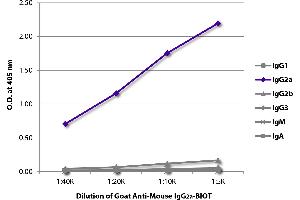 ELISA plate was coated with purified mouse IgG1, IgG2a, IgG2b, IgG3, IgM, and IgA. (山羊 anti-小鼠 IgG2a Antibody (Biotin))