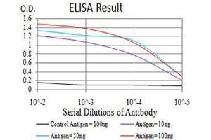 Black line: Control Antigen (100 ng),Purple line: Antigen (10 ng), Blue line: Antigen (50 ng), Red line:Antigen (100 ng) (VEGFA 抗体  (AA 207-371))