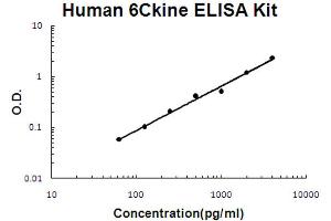 Human CCL21/6Ckine Accusignal ELISA Kit Human CCL21/6Ckine AccuSignal ELISA Kit standard curve. (CCL21 ELISA 试剂盒)