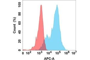 Flow cytometry analysis with Anti-E (DM162) on Expi293 cells transfected with human E (Blue histogram) or Expi293 transfected with irrelevant protein (Red histogram). (EPH Receptor A3 抗体  (AA 21-541))