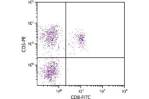 Feline peripheral blood lymphocytes were stained with Mouse Anti-Feline CD5-PE. (CD5 抗体  (PE))