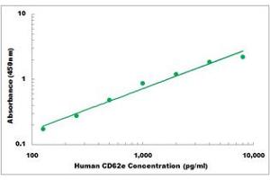 Representative Standard Curve (Selectin E/CD62e ELISA 试剂盒)