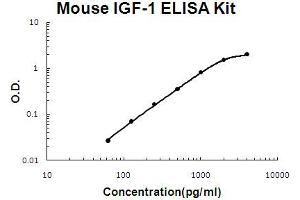 Mouse IGF-1 Accusignal ELISA Kit Mouse IGF-1 AccuSignal ELISA Kit standard curve. (IGF1 ELISA 试剂盒)