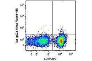 Flow Cytometry (FACS) image for Rat anti-Mouse IgM antibody (Alexa Fluor 488) (ABIN2667223) (大鼠 anti-小鼠 IgM Antibody (Alexa Fluor 488))