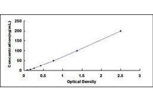 ELISA image for Glucuronic Acid Epimerase (GLCE) ELISA Kit (ABIN437538) (GLCE ELISA 试剂盒)