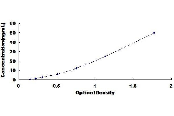 SEMA5A ELISA 试剂盒