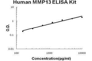 Human MMP13 Accusignal ELISA Kit Human MMP13 AccuSignal ELISA Kit standard curve. (MMP13 ELISA 试剂盒)