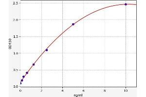 IMPDH2 ELISA 试剂盒