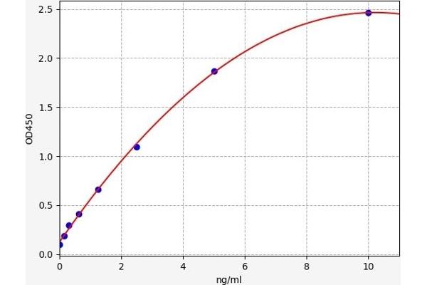 IMPDH2 ELISA 试剂盒