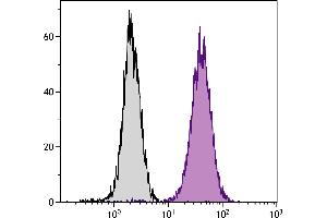 Human T cell leukemia cell line Jurkat was intracellularly stained with Mouse Anti-Human CD107b-PE. (LAMP2 抗体  (PE))