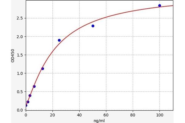 S100A11 ELISA 试剂盒