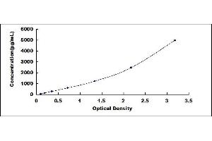 Typical standard curve (WNT16 ELISA 试剂盒)