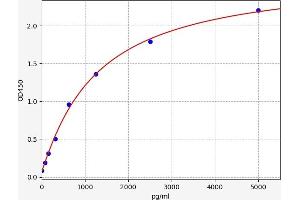 Integrin beta 3 ELISA 试剂盒